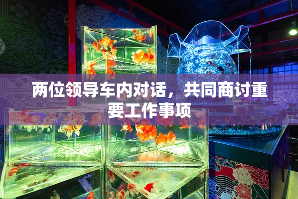 两位领导车内对话，共同商讨重要工作事项