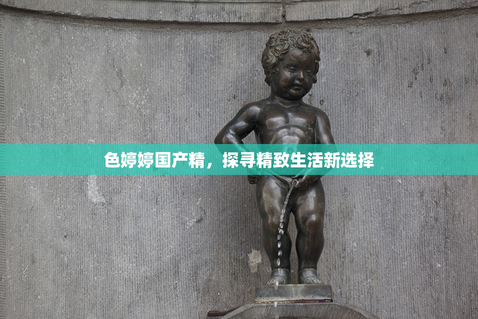 色婷婷国产精，探寻精致生活新选择