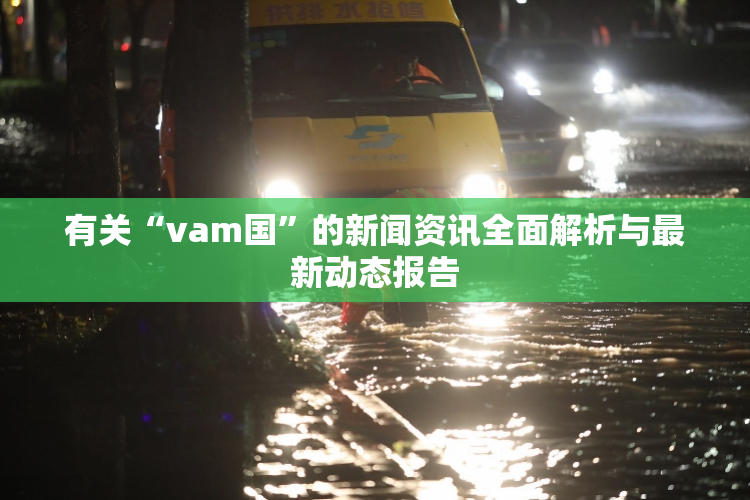 有关“vam国”的新闻资讯全面解析与最新动态报告