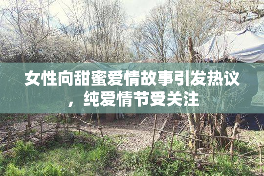 女性向甜蜜爱情故事引发热议，纯爱情节受关注