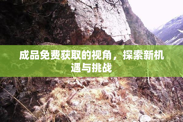 成品免费获取的视角，探索新机遇与挑战