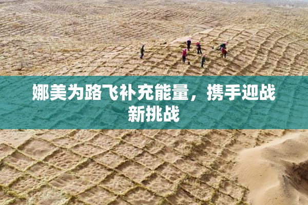 娜美为路飞补充能量，携手迎战新挑战