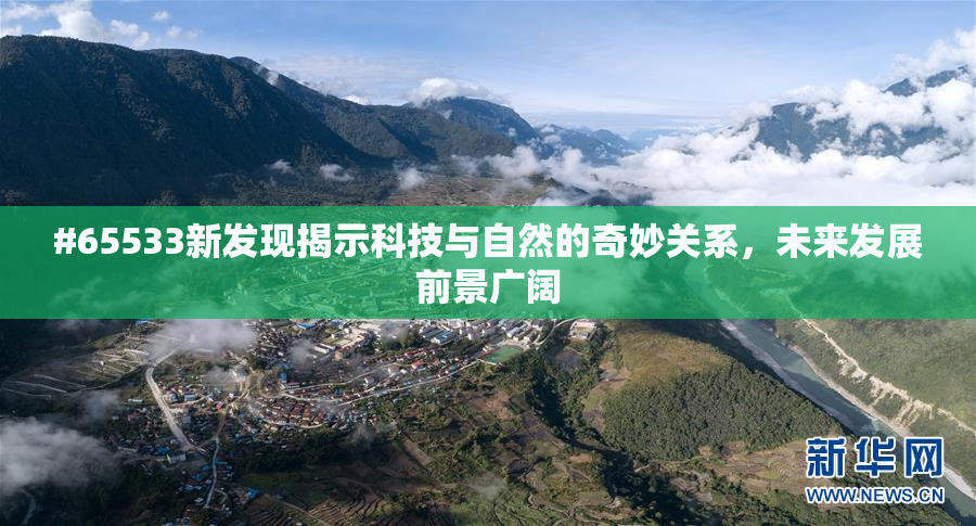 #65533新发现揭示科技与自然的奇妙关系，未来发展前景广阔