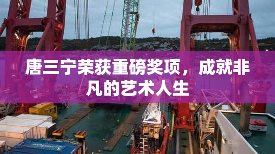 唐三宁荣获重磅奖项，成就非凡的艺术人生