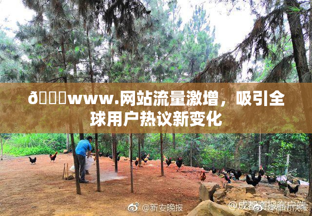 🔞www.网站流量激增，吸引全球用户热议新变化