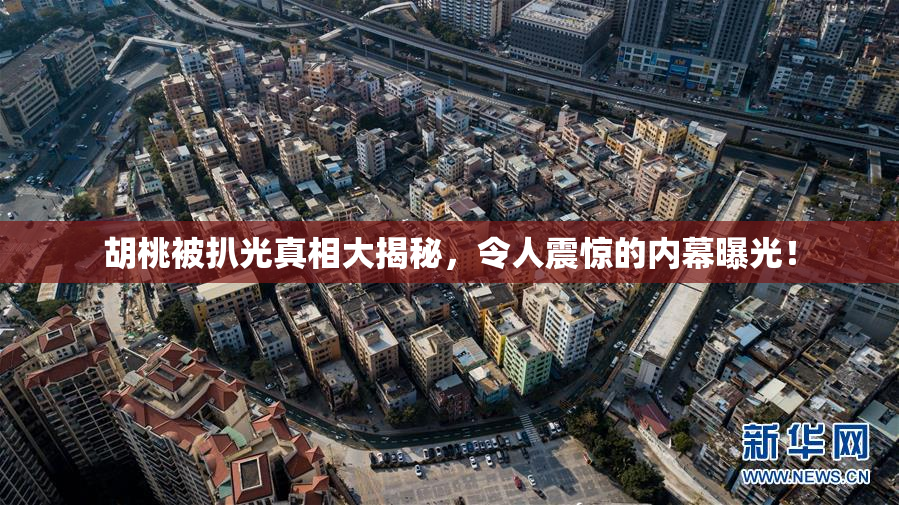 胡桃被扒光真相大揭秘，令人震惊的内幕曝光！