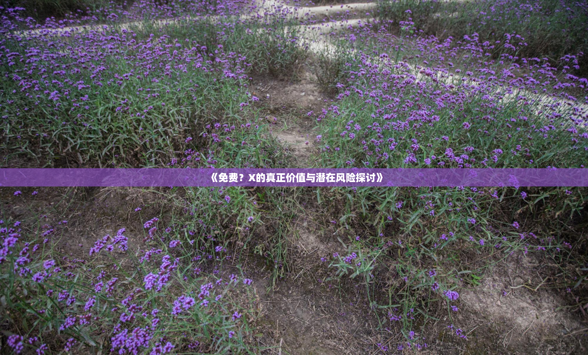 《免费？X的真正价值与潜在风险探讨》