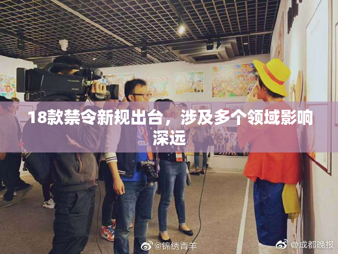 18款禁令新规出台，涉及多个领域影响深远