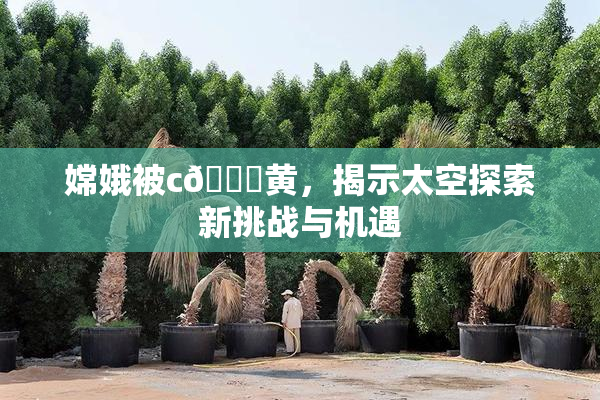 嫦娥被c🔞黄，揭示太空探索新挑战与机遇