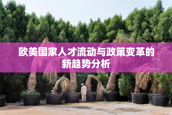 欧美国家人才流动与政策变革的新趋势分析