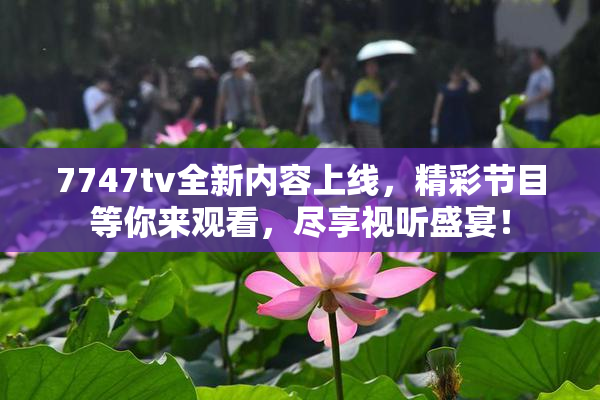 7747tv全新内容上线，精彩节目等你来观看，尽享视听盛宴！