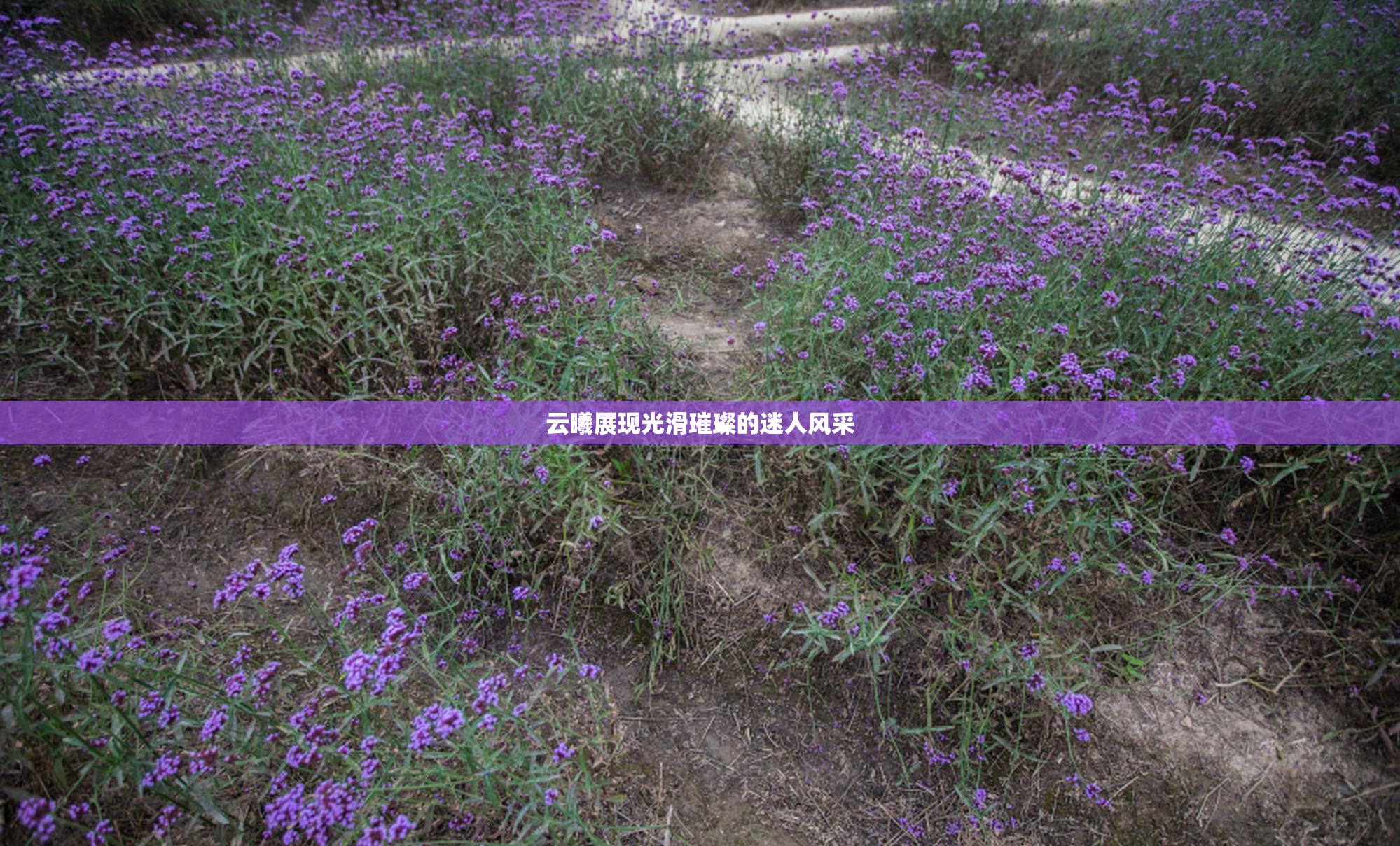 云曦展现光滑璀璨的迷人风采