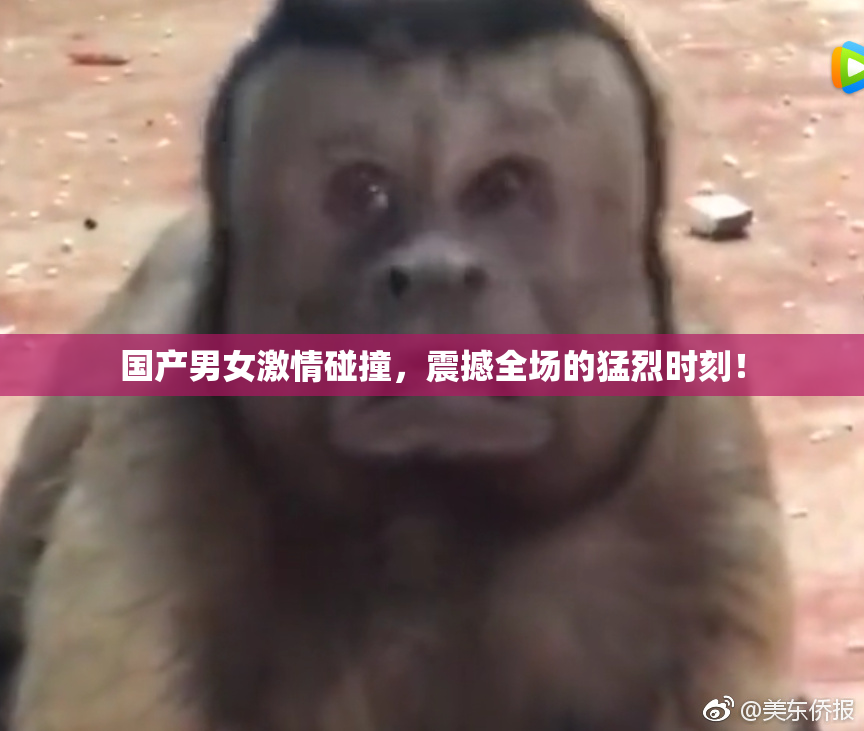 国产男女激情碰撞，震撼全场的猛烈时刻！