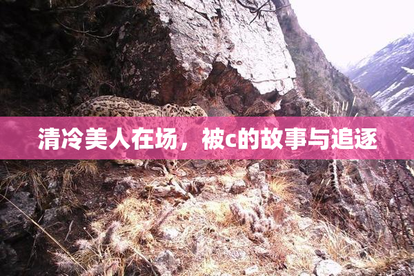 清冷美人在场，被c的故事与追逐