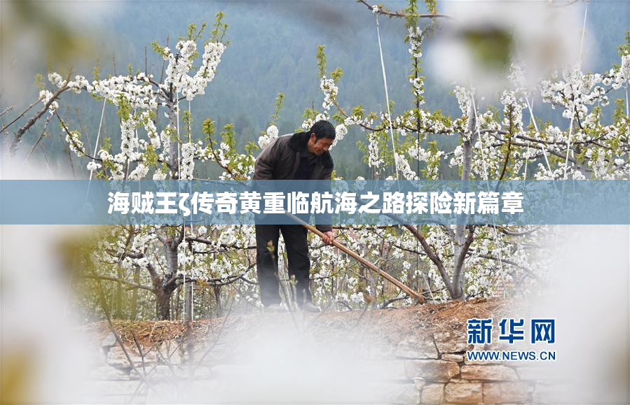 海贼王ζ传奇黄重临航海之路探险新篇章