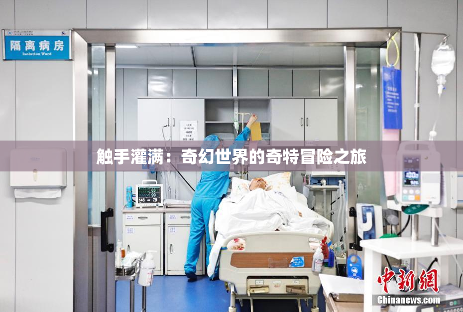 触手灌满：奇幻世界的奇特冒险之旅