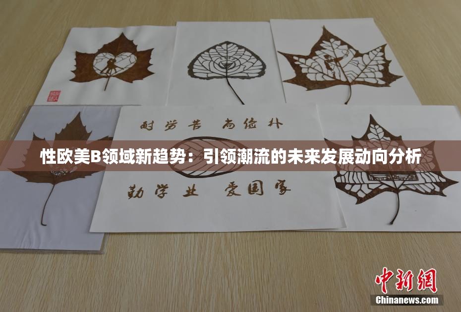 性欧美B领域新趋势：引领潮流的未来发展动向分析