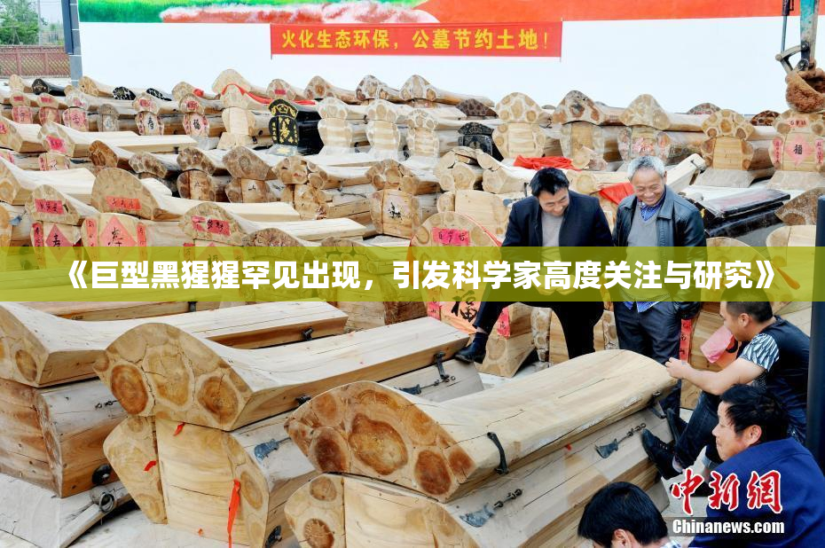 《巨型黑猩猩罕见出现，引发科学家高度关注与研究》