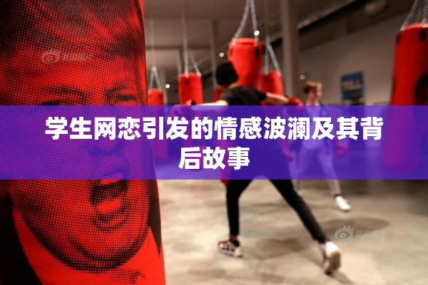 学生网恋引发的情感波澜及其背后故事