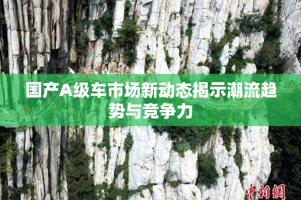 国产A级车市场新动态揭示潮流趋势与竞争力