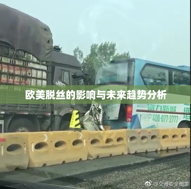 欧美脱丝的影响与未来趋势分析