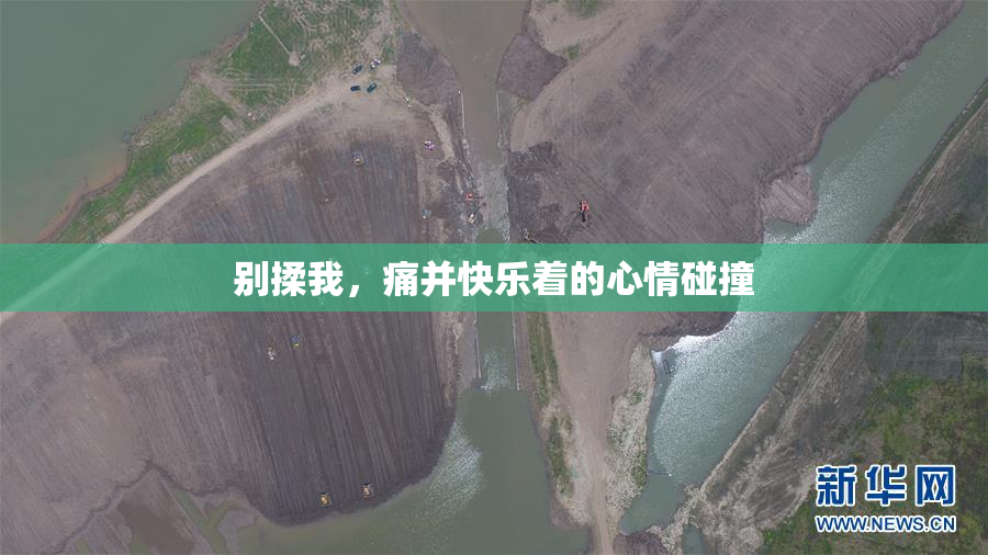 别揉我，痛并快乐着的心情碰撞