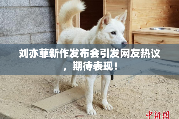 刘亦菲新作发布会引发网友热议，期待表现！
