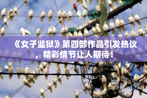 《女子监狱》第四部作品引发热议，精彩情节让人期待！