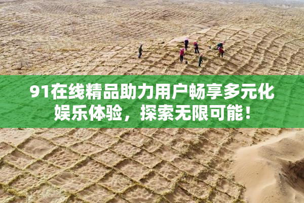 91在线精品助力用户畅享多元化娱乐体验，探索无限可能！