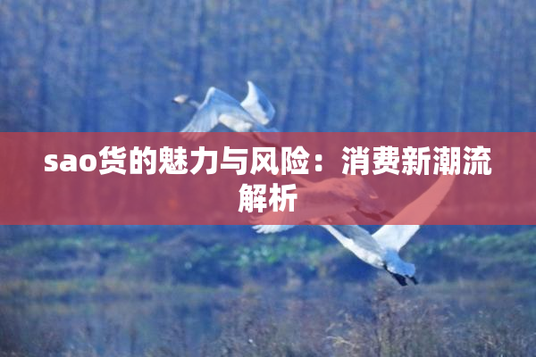 sao货的魅力与风险：消费新潮流解析