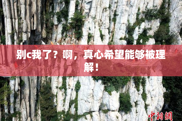 别c我了？啊，真心希望能够被理解！