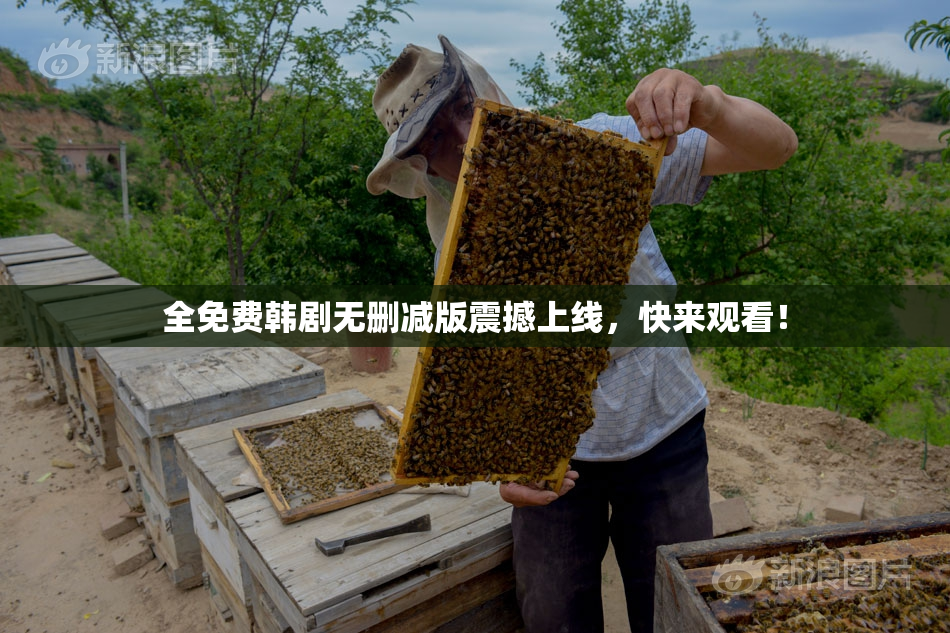 全免费韩剧无删减版震撼上线，快来观看！