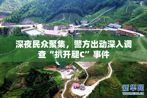 深夜民众聚集，警方出动深入调查“扒开腿C”事件