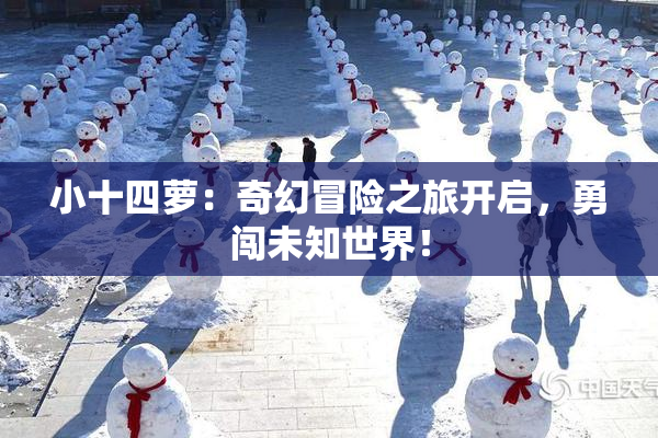 小十四萝：奇幻冒险之旅开启，勇闯未知世界！