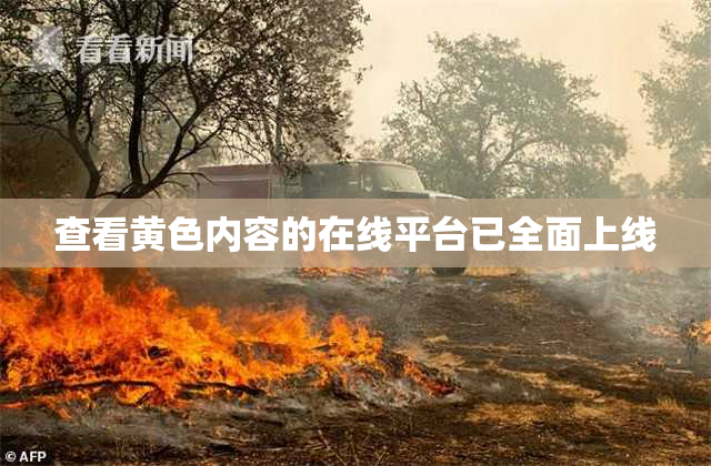 查看黄色内容的在线平台已全面上线