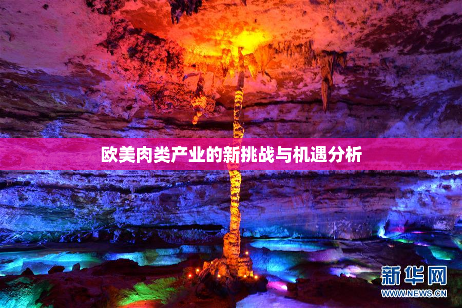 欧美肉类产业的新挑战与机遇分析