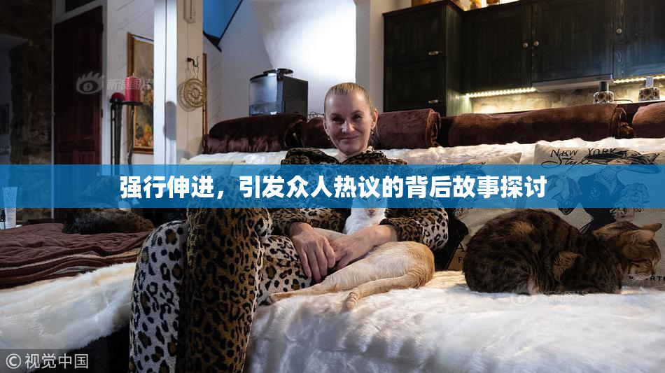 强行伸进，引发众人热议的背后故事探讨