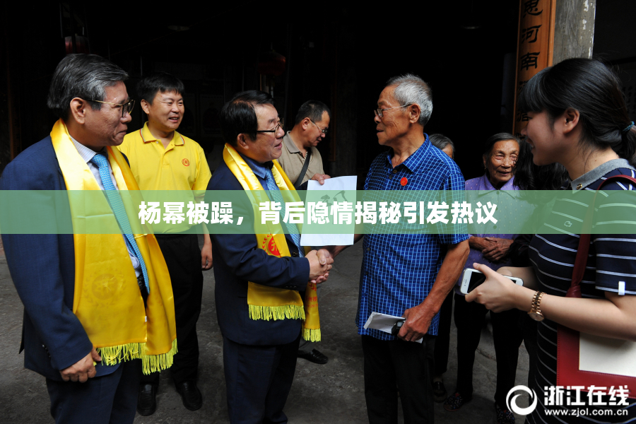 杨幂被躁，背后隐情揭秘引发热议