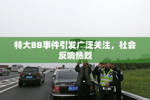 特大BB事件引发广泛关注，社会反响热烈