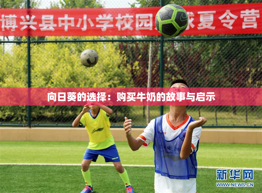 向日葵的选择：购买牛奶的故事与启示