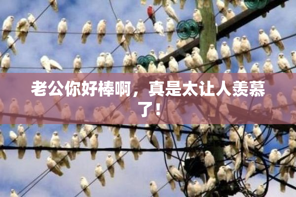 老公你好棒啊，真是太让人羡慕了！
