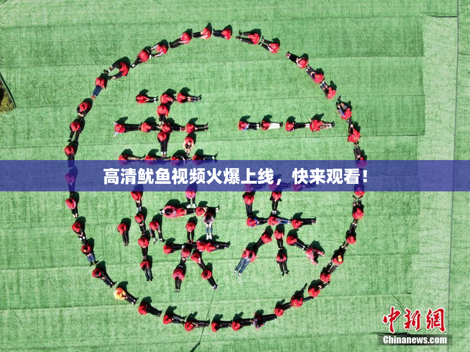 高清鱿鱼视频火爆上线，快来观看！