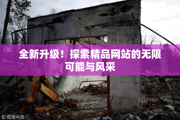 全新升级！探索精品网站的无限可能与风采