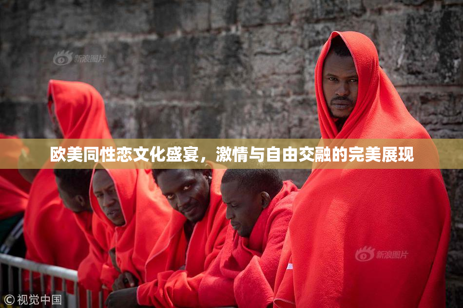欧美同性恋文化盛宴，激情与自由交融的完美展现