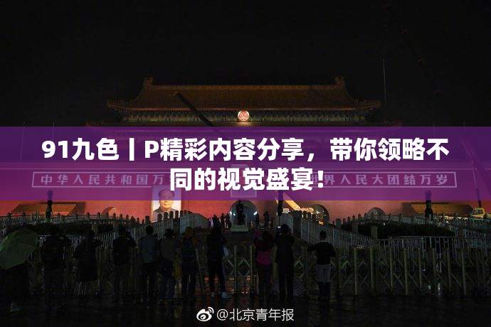 91九色丨P精彩内容分享，带你领略不同的视觉盛宴！