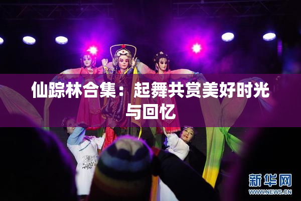 仙踪林合集：起舞共赏美好时光与回忆