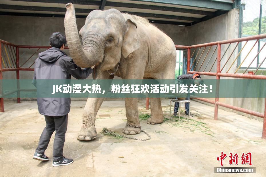 JK动漫大热，粉丝狂欢活动引发关注！
