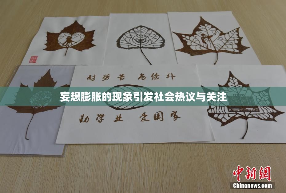 妄想膨胀的现象引发社会热议与关注