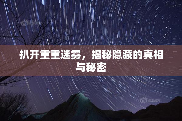 扒开重重迷雾，揭秘隐藏的真相与秘密
