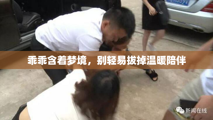 乖乖含着梦境，别轻易拔掉温暖陪伴